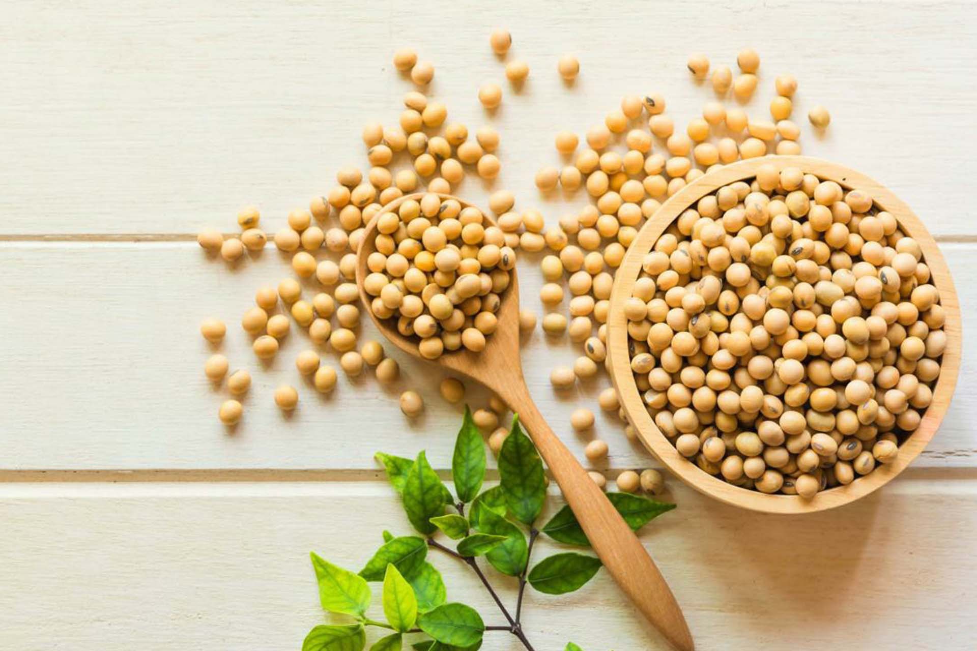 Soy protein