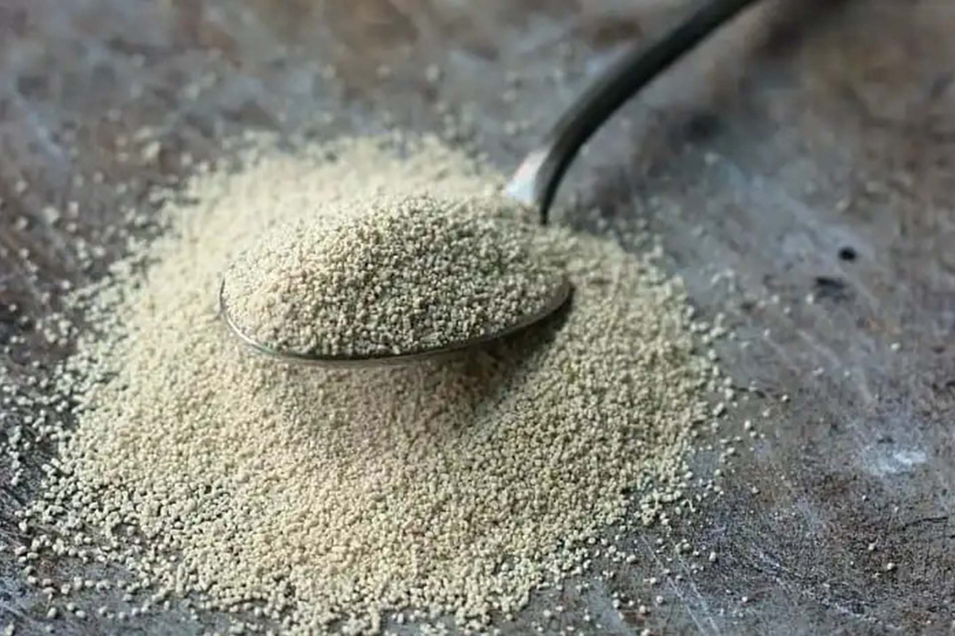 dry yeast