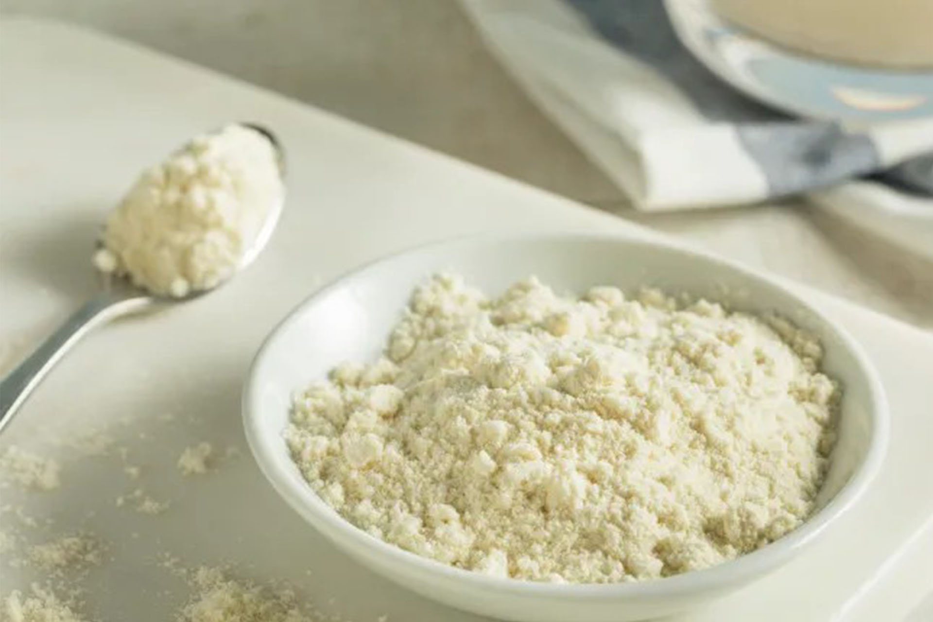 soy protein powder