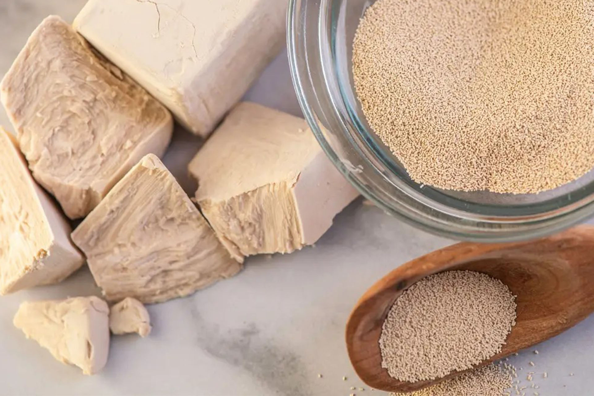 Dry yeast industry