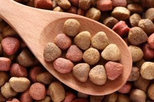 dog food