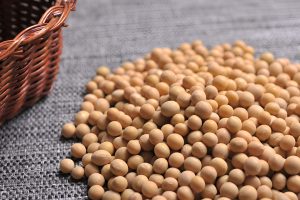 Organic soybeans